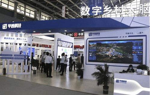 赋能乡村振兴 平普科技 数字乡村大脑 亮相数博会